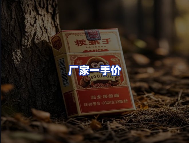 专业团队